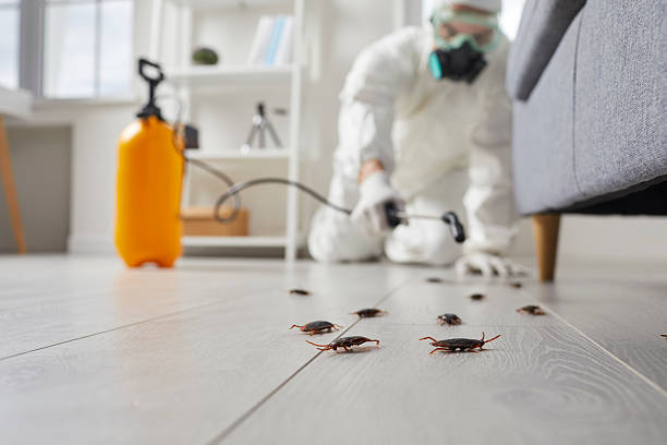 Commercial Kitchen Cockroach Control in Swartz